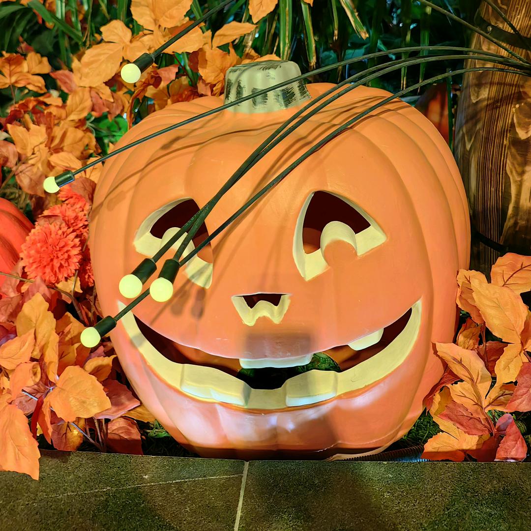 耍柠忙·串串香(滨江道店)官方号