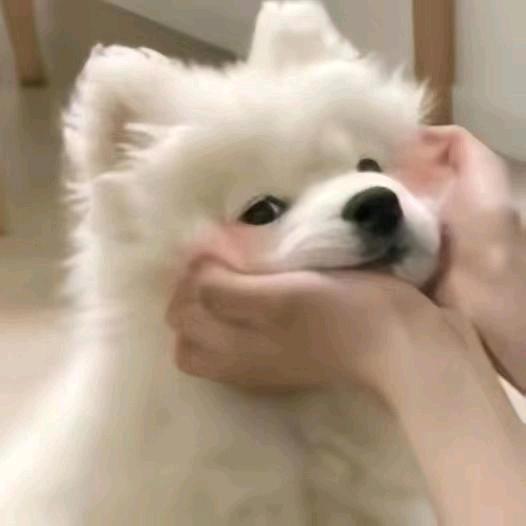 啊哈哈哈哈哈哈头像
