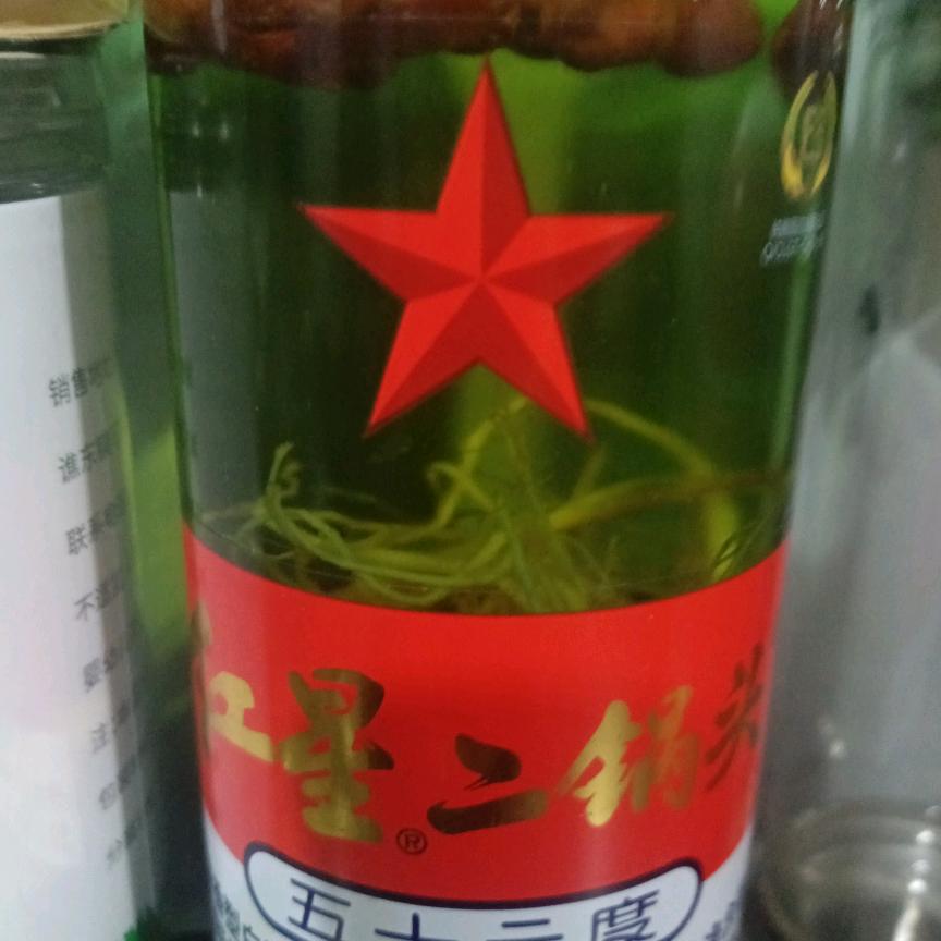 张有才