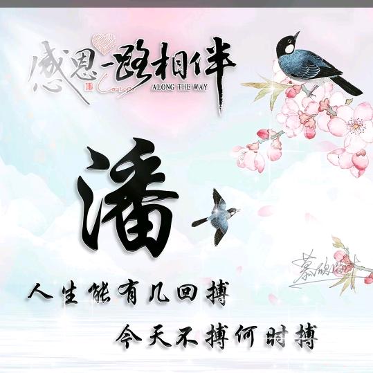 潘家姑娘