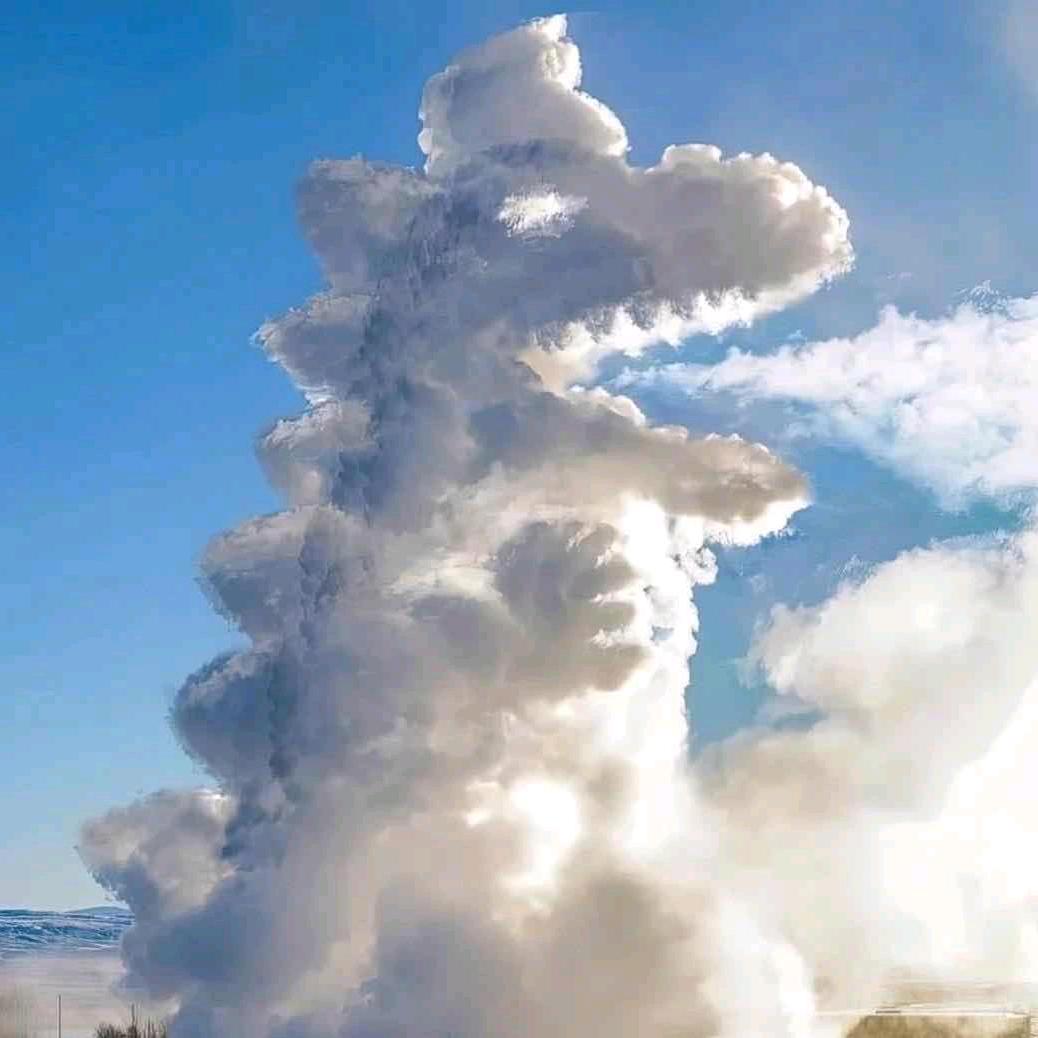 🌈空萝卜心