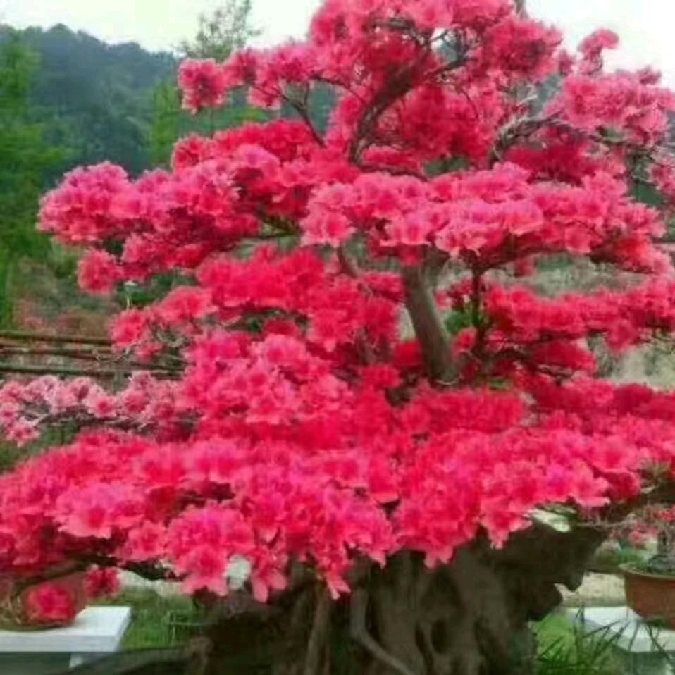 方向
