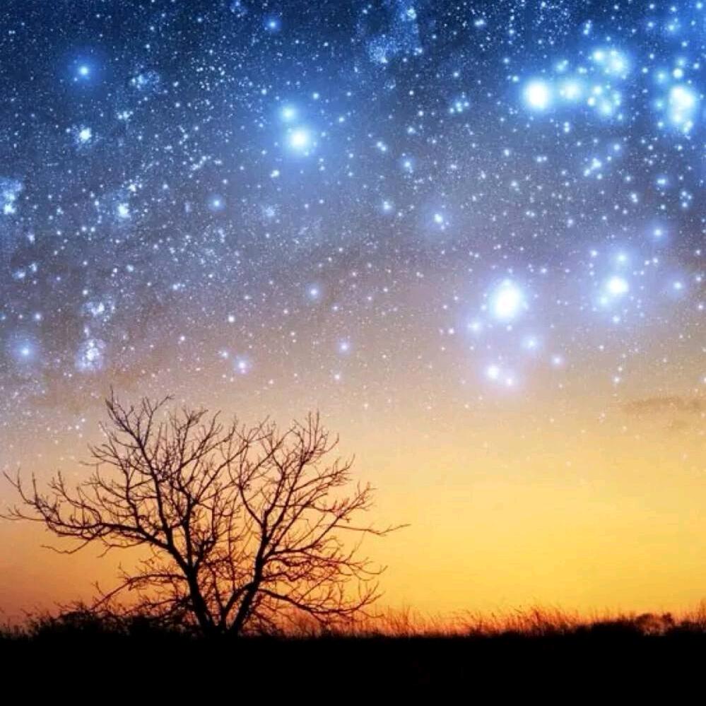 ✨✨唯一✨✨