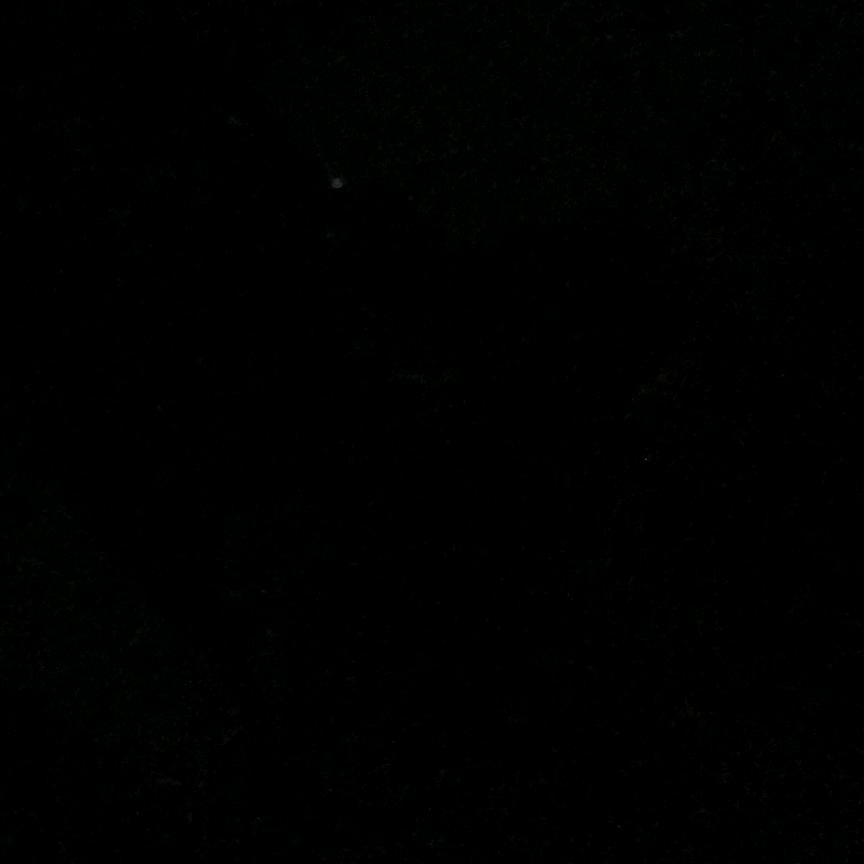 今天