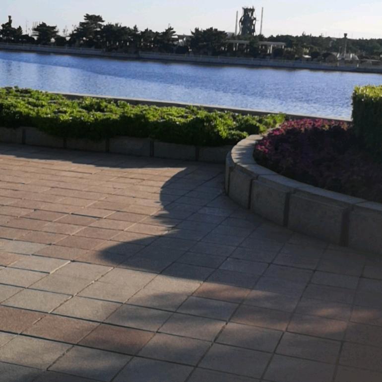 欣欣向荣，。。。。