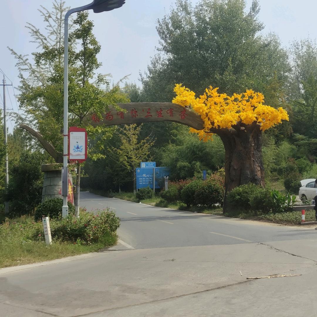 最后的远行