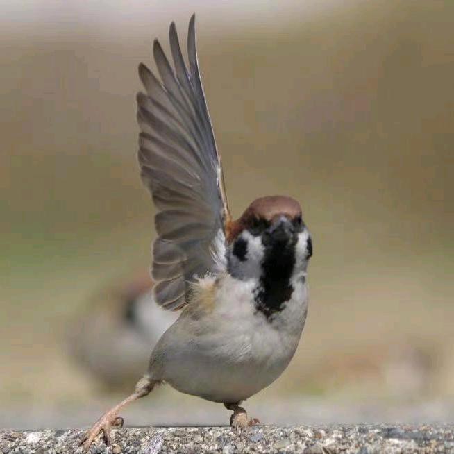 *←═╬∞懷揣伈動~`