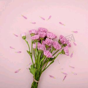 し𝑜𝒗𝒆财运✨小喵༉ᩚ