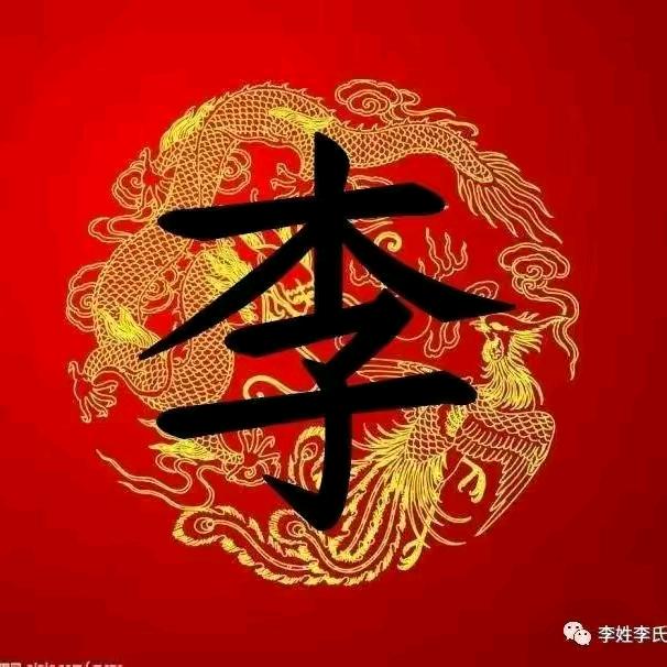 鸿轩物流，专业羽绒运输，