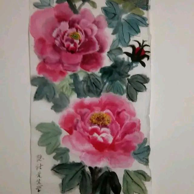 隐士先生(拒绝私聊)
