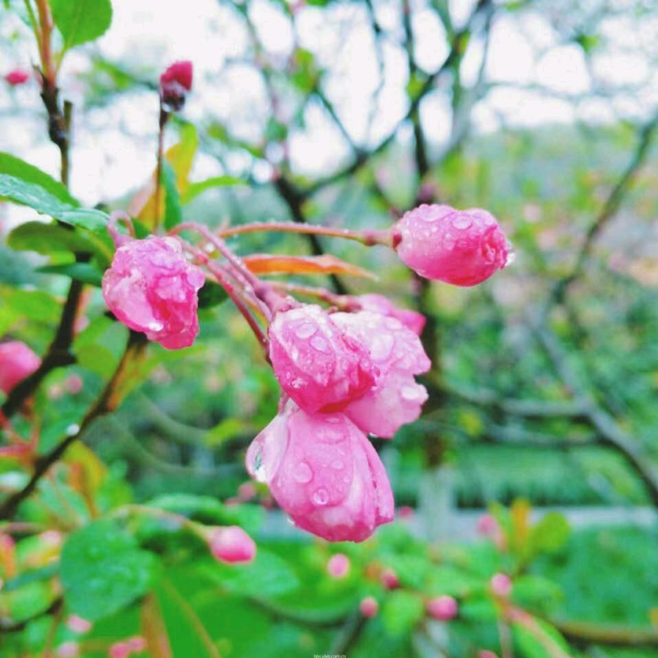 👄一生有你👄