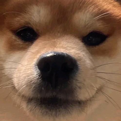 我可莉害了