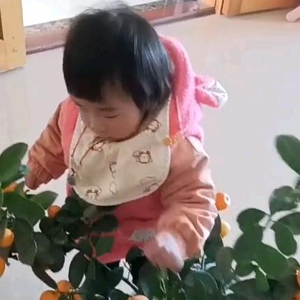 宝女