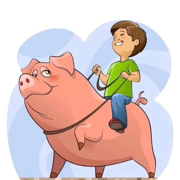 骑着猪儿逛成都