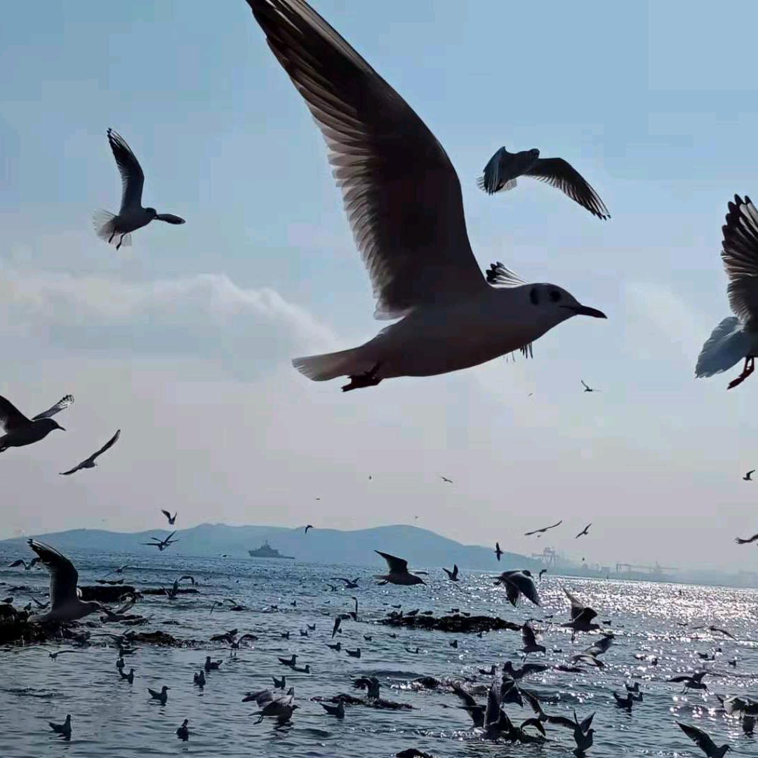 逍遥自在