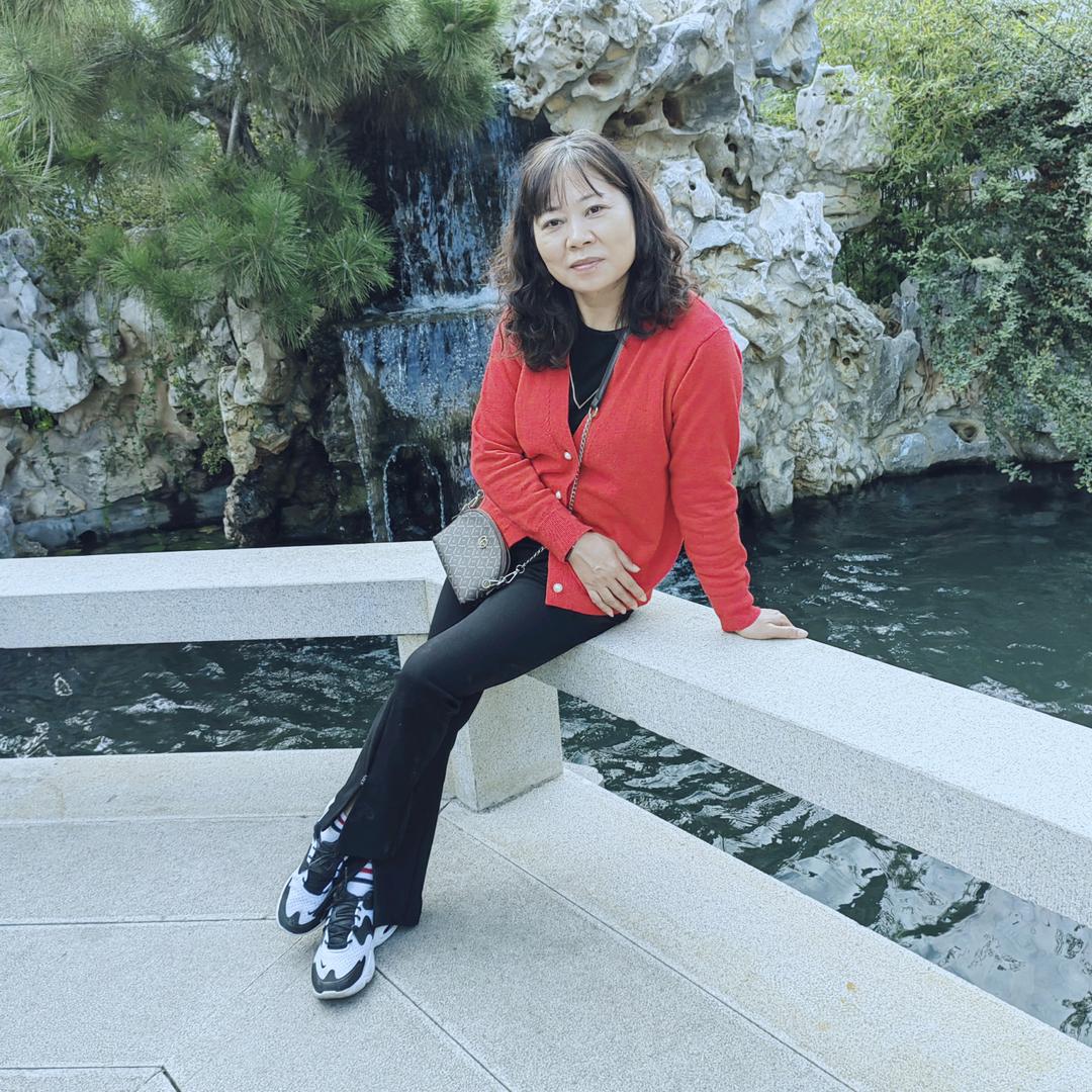 小菊