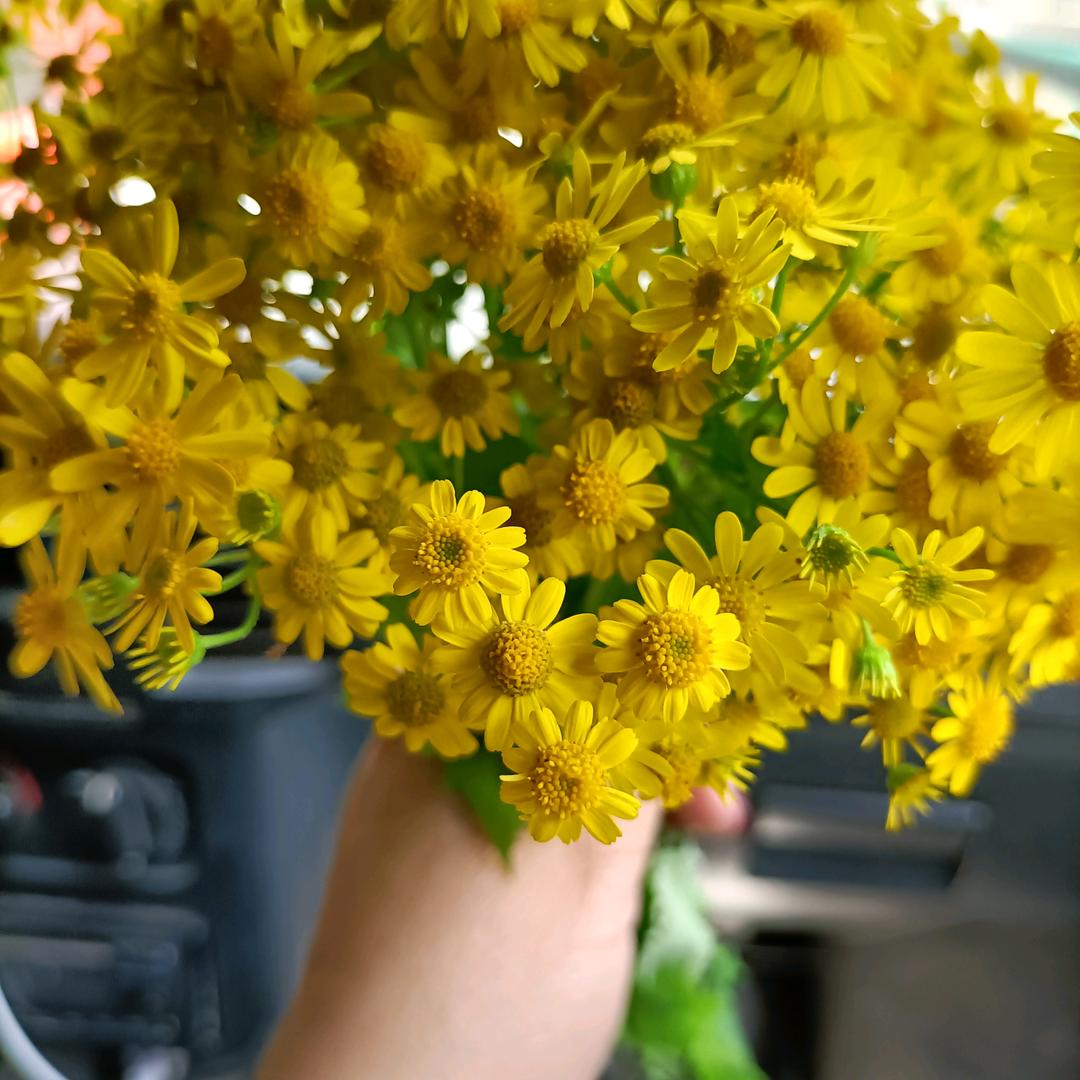 用户2311852801870顺其自然