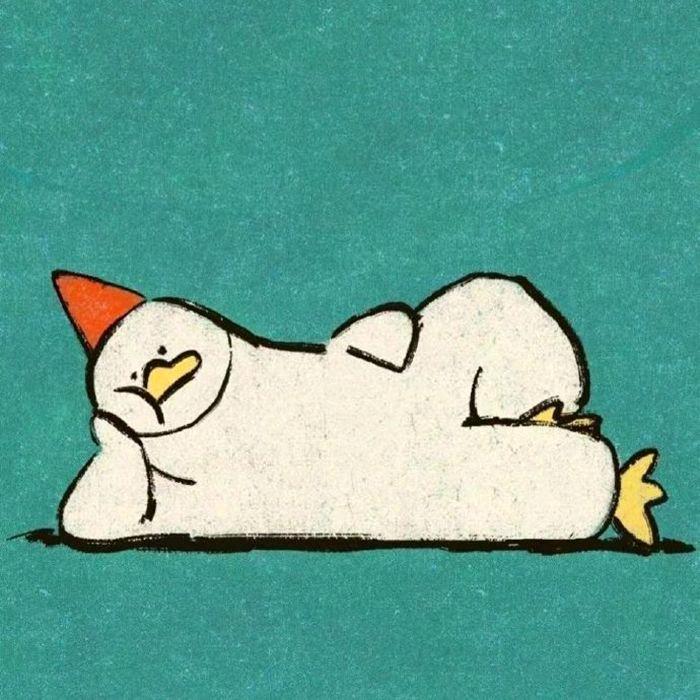 灰兔儿🐰