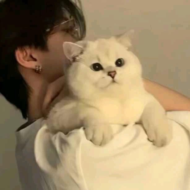 一厢情愿终是错