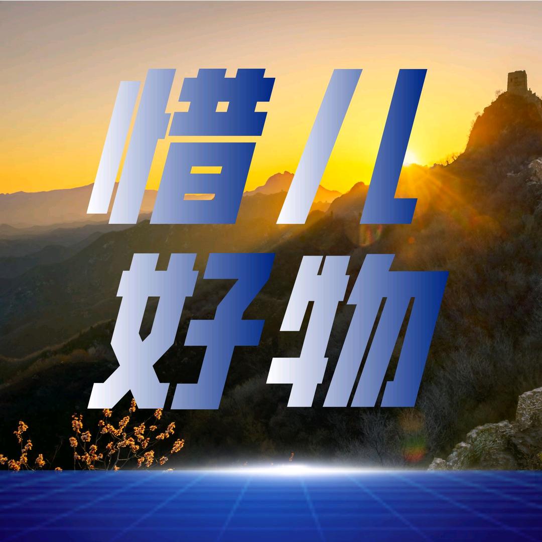 惜儿物语