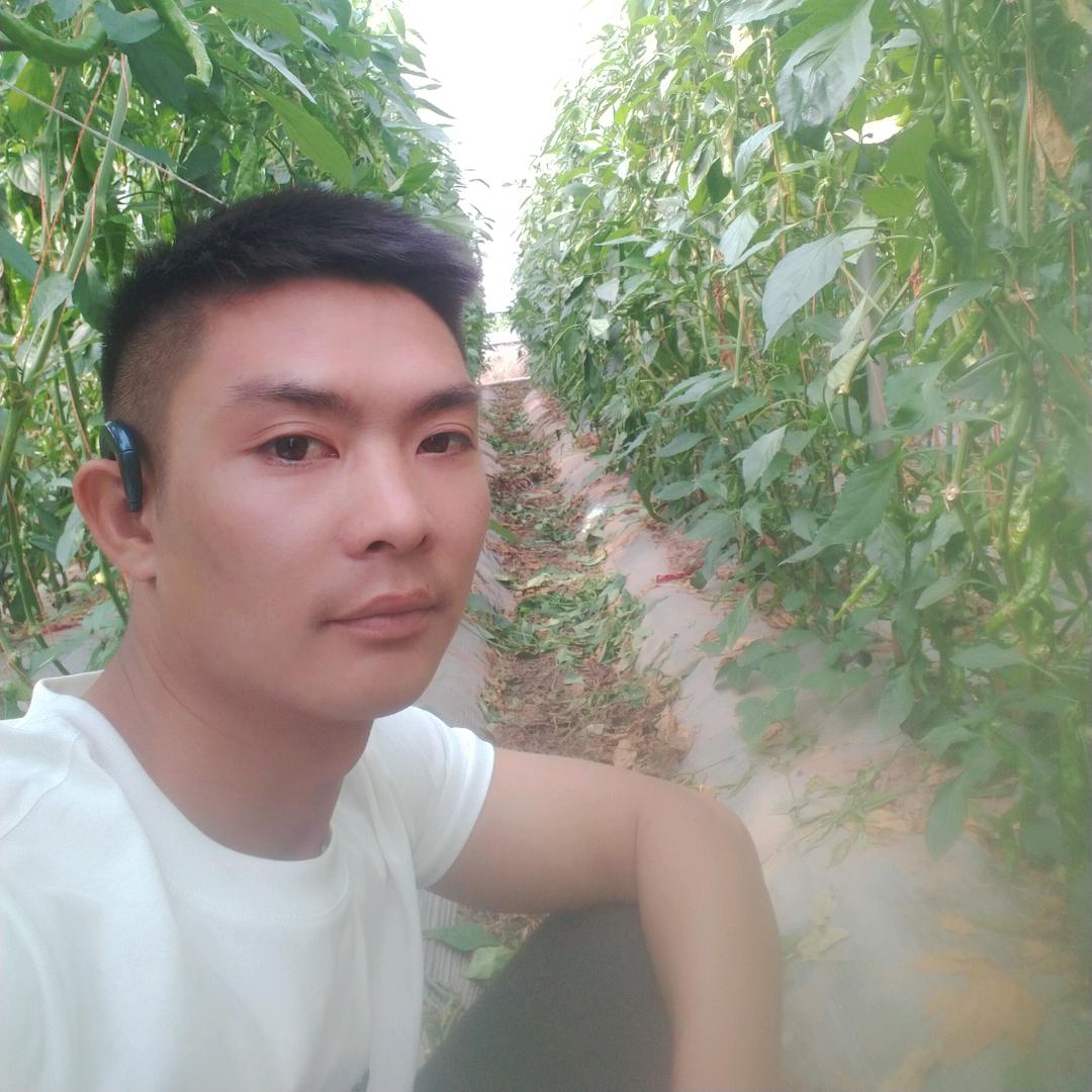 施不旧