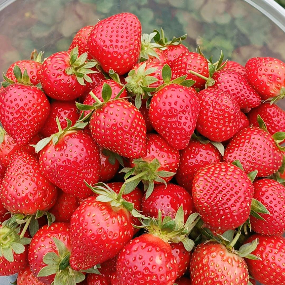 🌈 ෆ: ℒℴѵℯ·覃এ᭄༻⁵²⁰₁₃