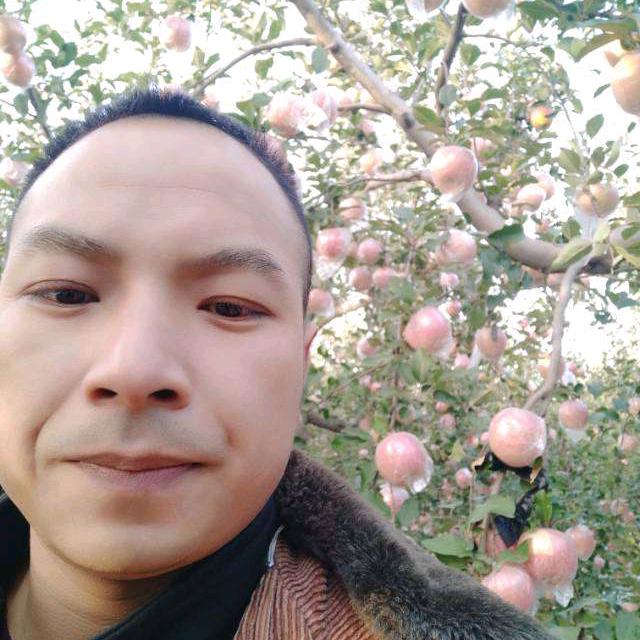 黑皮哥(苹果批发商)