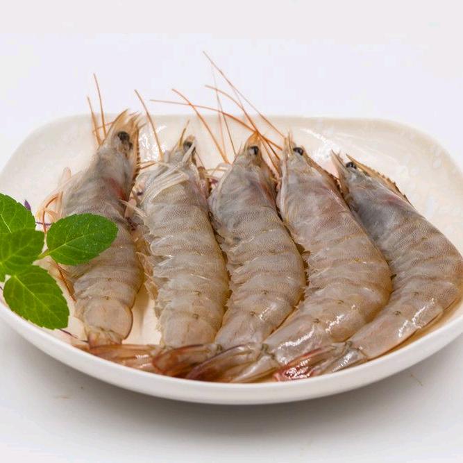 北海海鲜码头直供