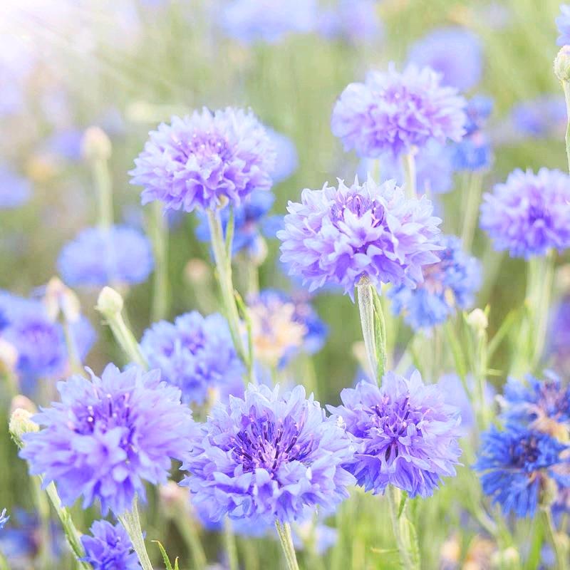 解忧之（时光交流处）