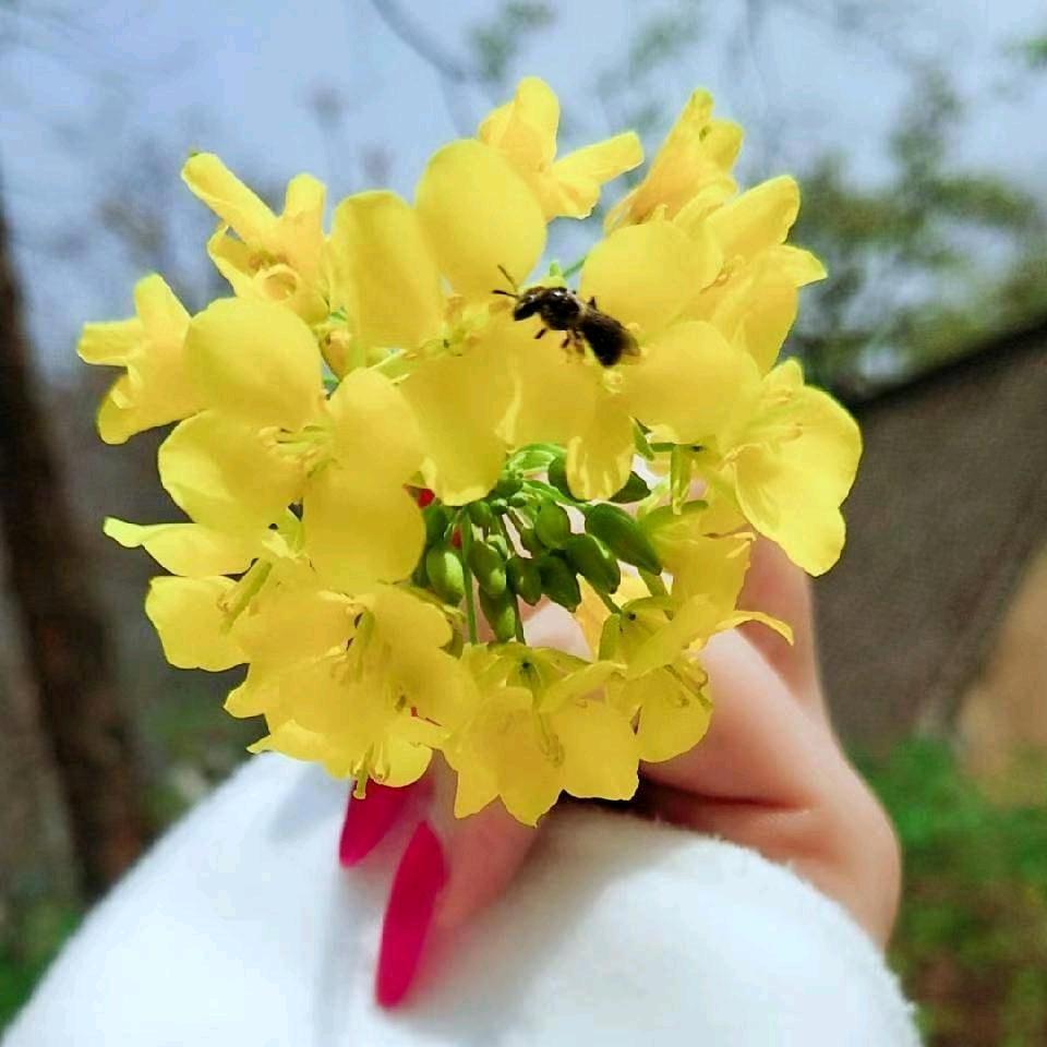 半边人性