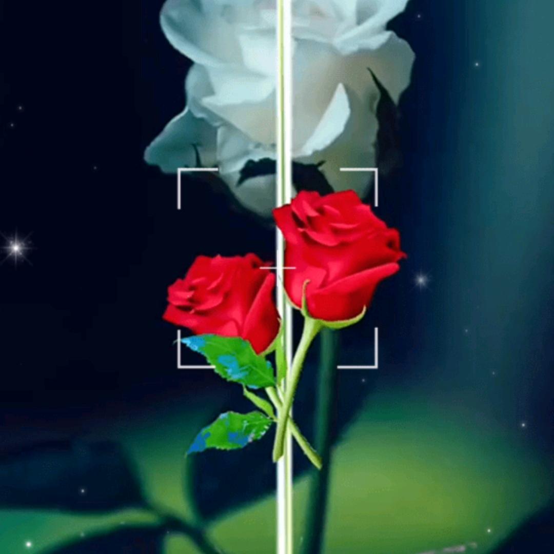 杯中倒满无情酒