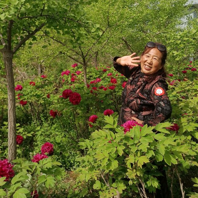 大营玫瑰鼓舞团（招人）