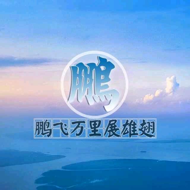 意鹏您