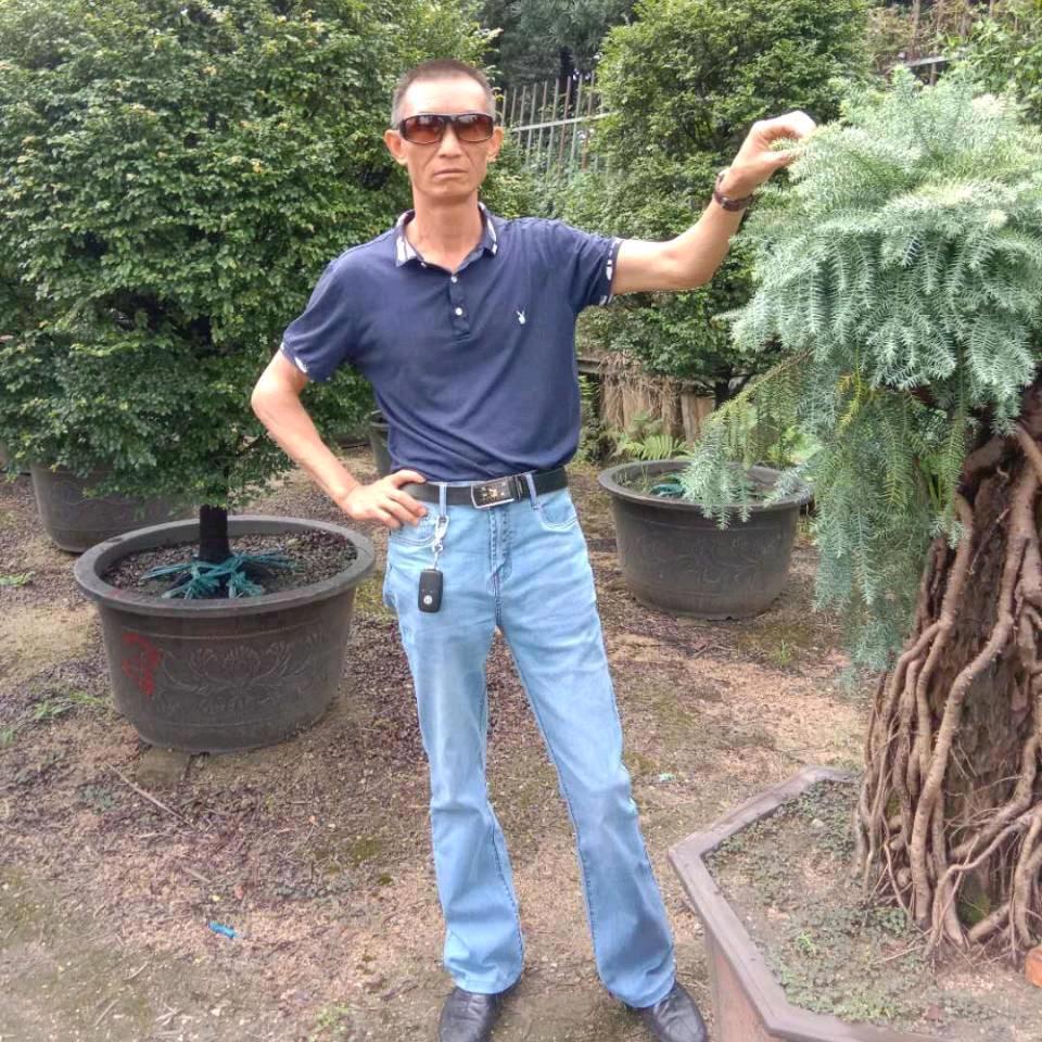 罗汉松造型冉锅