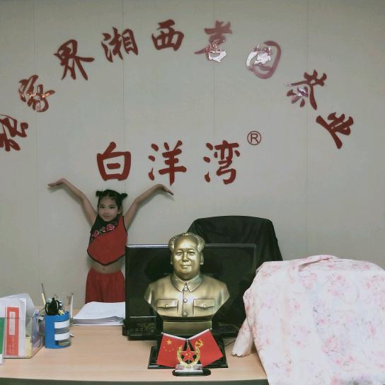 张家界湘西茗园茶业(敢闯滴辉哥)