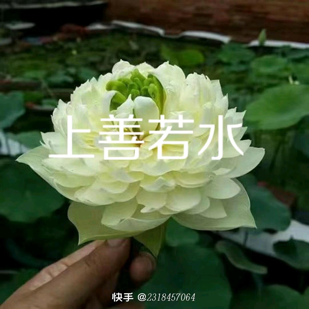 用户7904856436538