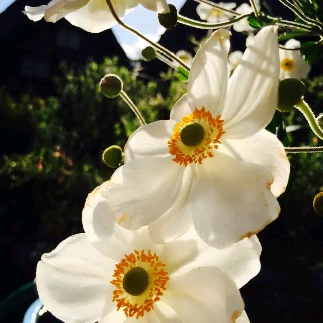 笑看红尘，乘风破浪