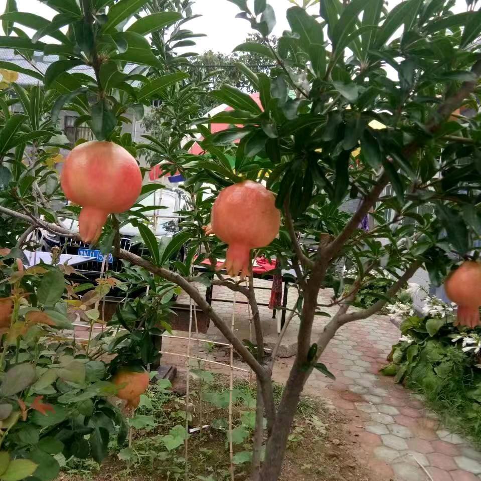 钰