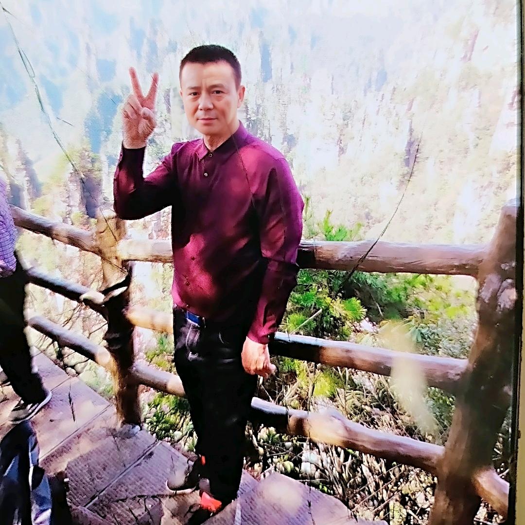 鱼鹰