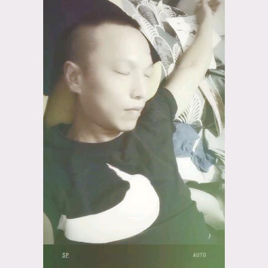 一生平安  虎  豪