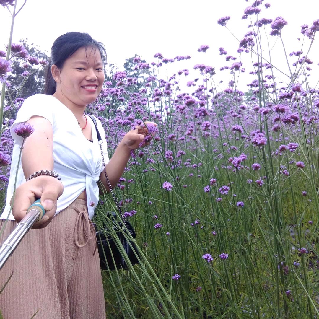 梦彩虹