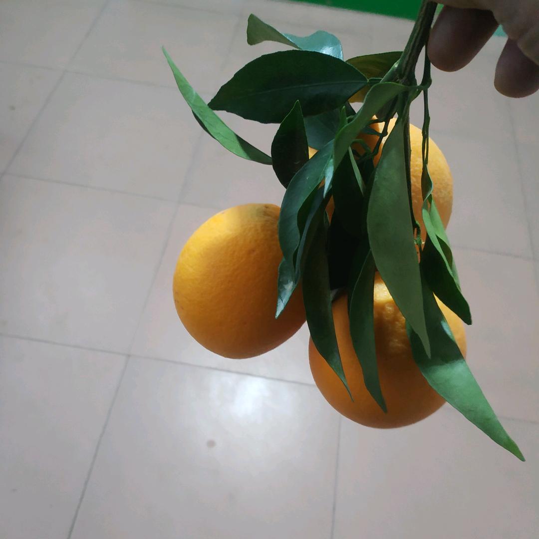 万物复苏