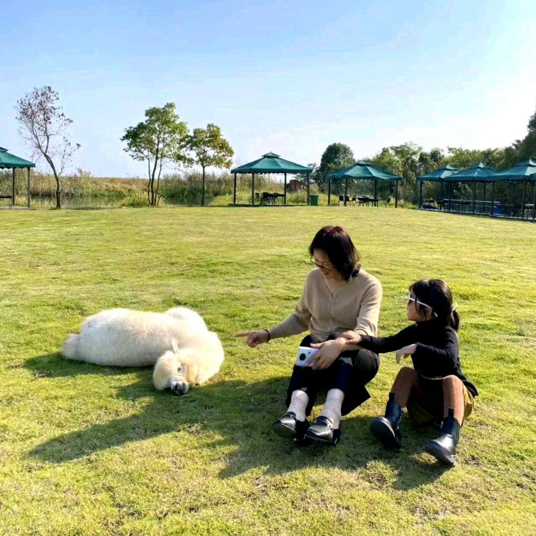 为爱守候