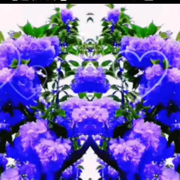 Fq