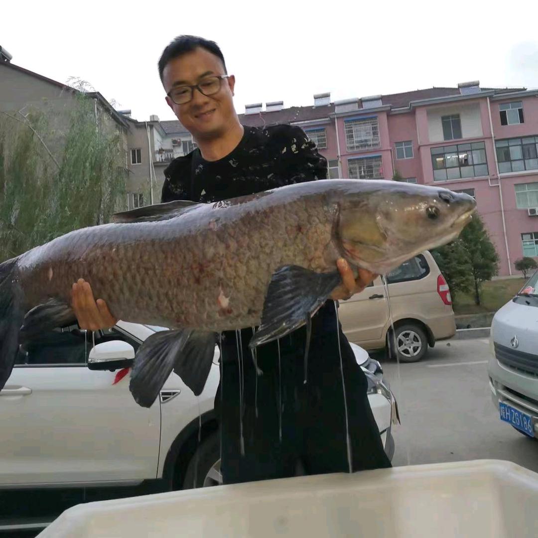 鹏程俱乐部