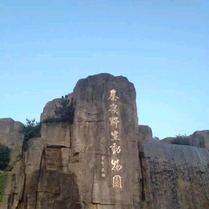 奋斗9237