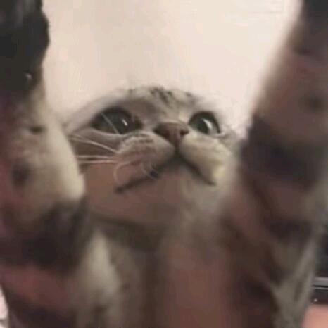 上班哪有不瘋的