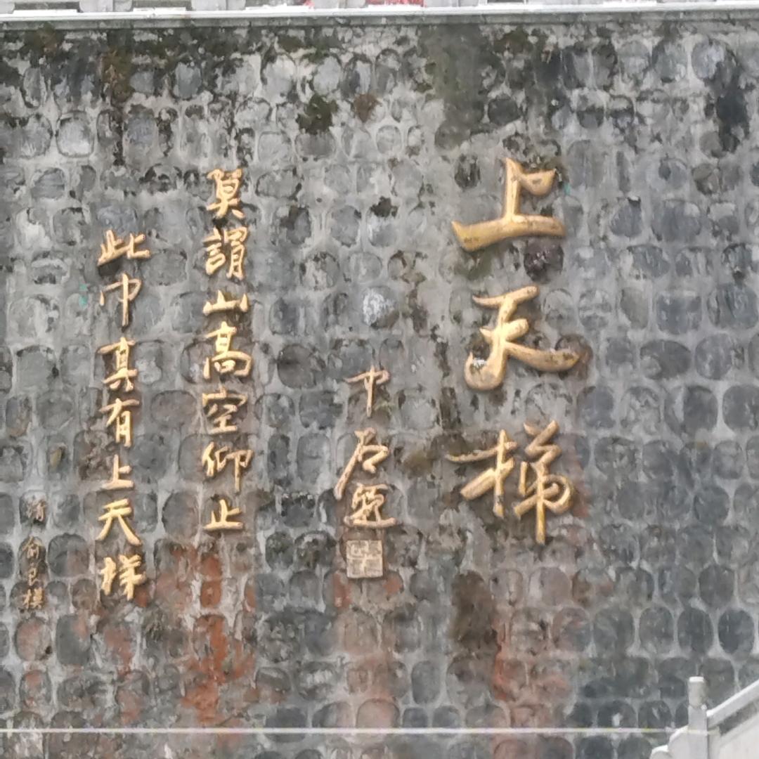 拼博