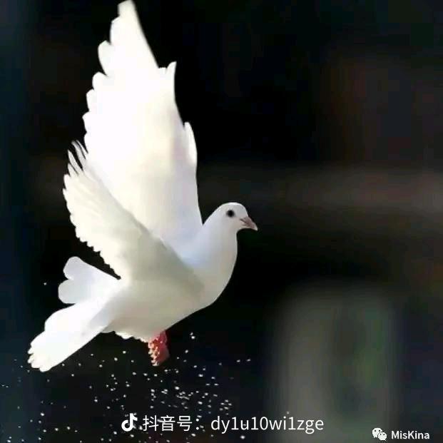 💕Guzal Kunlar❣️