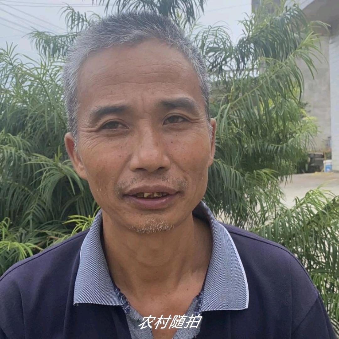 老农民，不定时开播
